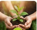 Green Kutumb